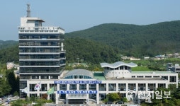 [부산] 기장군 市종합감사결과 기장군수 관외출장 문제없어