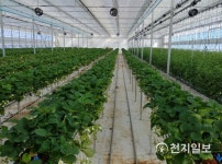 [무안] 청년 농업인 스마트팜 영농실습장 운영