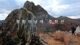 [탐방에세이] 봉황의 날개 주작산을 오르다