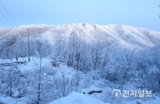 Foto hasil carian Naver 4