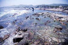 [지역명소] 마음 뻥 뚫리는 푸른 동해바다 '호미곶 해맞이광장'