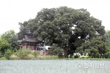 [남한지역 고구려 답사] 중부지역에 남은 고구려 비밀 구녀성 (3)