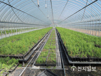 곡성군, 산림소득분야 지원사업 적극 추진