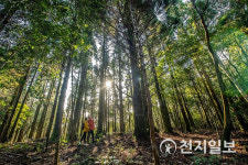 제주신라호텔, 신라포유 사람과는 거리(untact)·자연과 연결(connect)하는 호캉스 뜬다