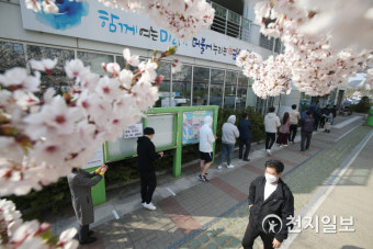 벚꽃 투표