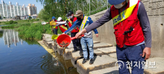 [광주] 광산구, 영산강 등 55곳 미꾸라지 260㎏ 방류