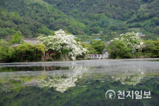 [전국특집] 자연 속 초록의 향연 경남 비대면 힐링 관광지 이모저모