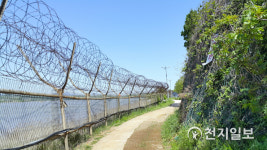 [지역명소] 솔솔한 바닷바람 맞으며 염하강철책길 걸어보자