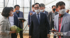 박상돈 천안시장, 멜론·오이 재배농가 방문… 농민들과 소통