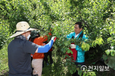 전남도의회, 매실 농장 찾아 영농지원 구슬땀