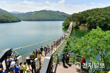 장성호 수변길 황금빛 출렁다리 정식 개통