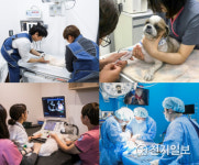 연희대신맨인력 | 서울연희실용전문학교 반려동물학과 과정, 동물병원 전문인력 배출