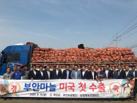부안마늘, 사상 첫 미국 수출길