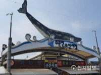 [지역명소] 바다 깊은 곳에 길, 정동 심곡 바다부채길을 걷다
