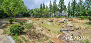 [전주] 덕진공원 내 갈대습지, 열린 정원으로 정비