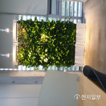 [오산] 도심속 숲속도서관에서 힐링하세요