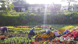 전남도, 여름 휴가철 맞아 농촌 여행지 6곳 선정
