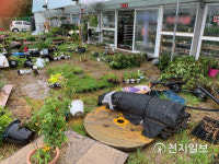 [천지포토] 침수 피해 화초 농원 엉망된 마당
