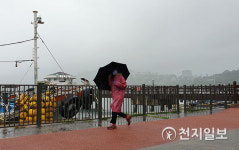 [천지포토] 태풍에 비바람 몰아치는 통영