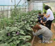 [인천] 도시농업전문가 첫걸음 이론과 실무교육