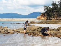 [천지포토] 조용한 무안 톱머리 해수욕장 풍경