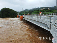 [천지포토] 다리 밑까지 차오른 용전천