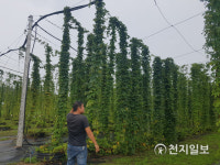 부안군, 농식품 가공창업 지원