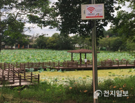 진주시, 공공장소‧모든 시내버스에 와이파이 구축 마쳐