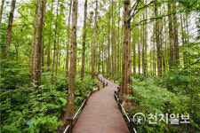 경기도산림환경연구소, 물향기수목원 무장애나눔길 조성