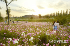 포스트 코로나 시대 순천시가 그리는 꿈 우리는 정원에 삽니다