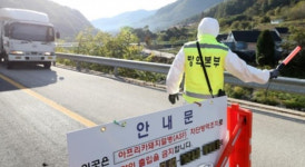 아프리카돼지열병, 1년 만에 재등장… 무엇이 위험한가