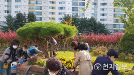 [의왕] 고천동 주민자치위원회, 가을은 국화꽃 향기와 함께