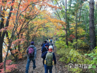 [단풍 떠나볼까?②] 대청봉 중심으로 동·서·남·북 시원하게 뻗은 단풍 일품 설악산