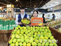 농협하나로유통 제철맞은 청도 모과 하나로마트에서 만나보세요