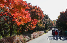 NAVER検索結果の写真 2