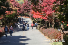 NAVER検索結果の写真 3
