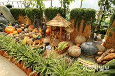 [천지포토] 영상으로 만나는 토종농산물 종자전시회