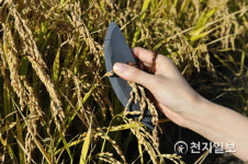 전남농업박물관-목포대 고고문화인류학과, 연구 협력