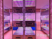 전남무안지역자활센터카페홍 | 무안군, 저소득층 자활사업 다변화에 앞장서