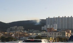 부산 사하구 장림동 아미산일원 산불발생… 진화대 출동 신속 진화