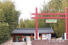 [천지포토] 담양 죽녹원, 대숲 향기 가득