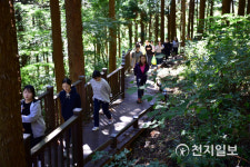 전남도, 숲속 산림휴양치유시설 기반 구축 221억 투입