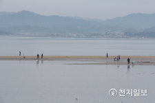 설 연휴 마지막 날 돌머리해수욕장 보드라운 모래 밟으며 힐링