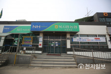 [천지포토] LH 투기 의혹 농지에 식재된 묘목