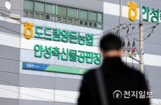 [천지포토] 도드람 도축장서 코로나 집단 감염