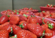 아산 석정딸기농원, 염치읍행복키움추진단에 딸기 112박스 후원