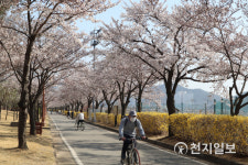 [천지포토] 구미동락공원의 봄 정취