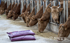 장수군, 축산업 허가·등록 농가 점검 실시