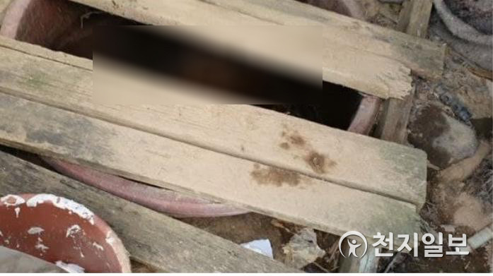 이재명 대통령, 이주노동자 인권유린 비판에 야만적 인권침해 표현