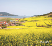전남도, 5월 가정의 달 전남서 안심 여행 즐기세요